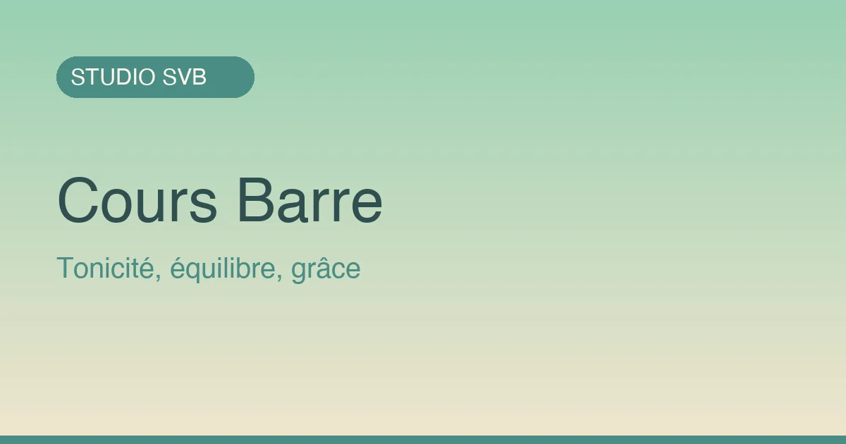 Pilates Barre au Studio SVB Parc des Docks